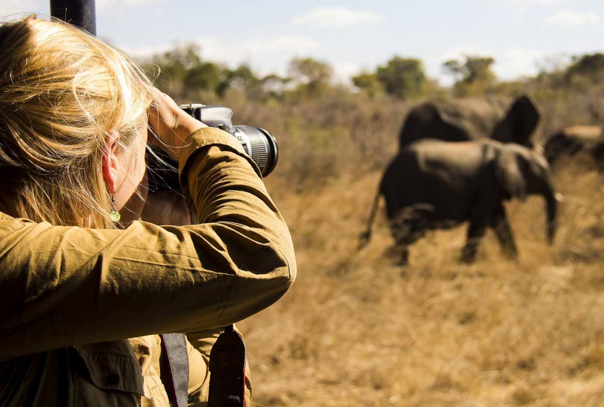 photographic-safaris-1 - Nairobi Day Trip